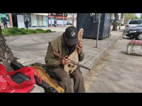 Видео: Кацнал бръмбар на трънка