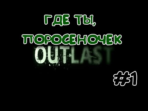 Видео: OUTLAST #1 Где ты, поросёночек!