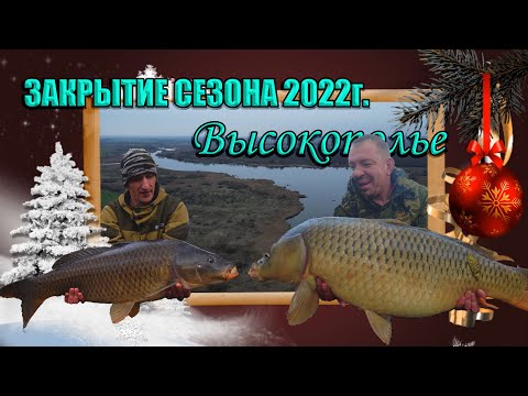 Видео: Карп 16кг.  Закрытие рыболовного сезона. Поздняя осень.