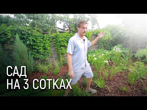Видео: ЛАНДШАФТНИЙ ДИЗАЙН | САД НА ТРЬОХ СОТКАХ