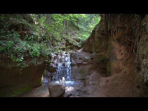 Видео: Удмуртия. Чемошур-Учинский каньон. Исток река Вала. Абатские пещеры.