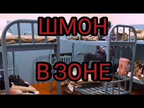 Видео: Шмон в зоне!