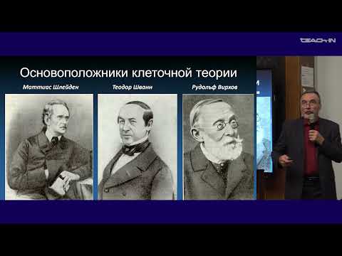Видео: Киреев И.И. - Клеточная биология - 1. Клеточная теория