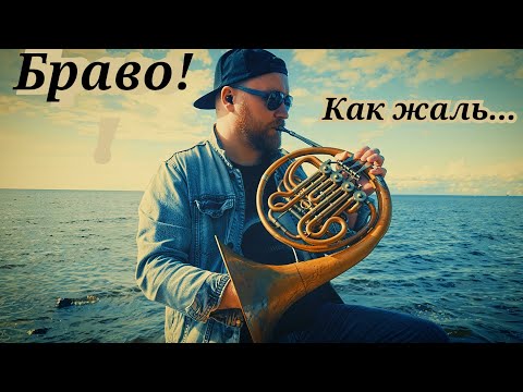 Видео: Как жаль. Браво! Ukulele-cover (Fingerstyle)