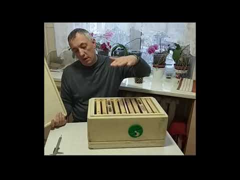 Видео: ОБЗОР нуклеуса ИЗМАЙЛОВА