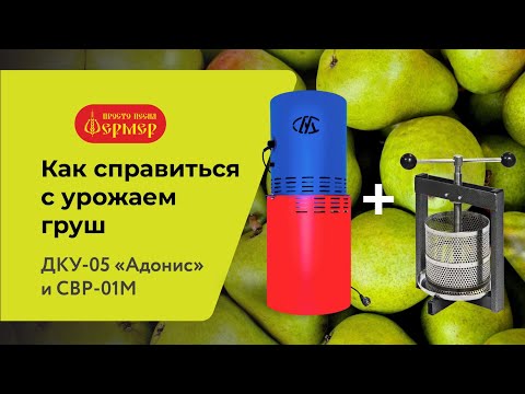Видео: Как справиться с урожаем груш при помощи ДКУ-05 Адонис и соковыжималки СВР-01М Люкс