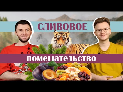 Видео: Волшебство псевдошипра и ароматы для ваших насекомых | Слепые затесты от Ани