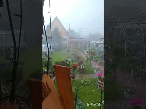 Видео: Тропический ливень в Подмосковье 💦☔