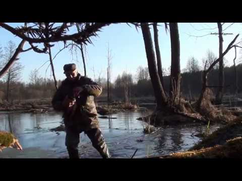 Видео: (21) Весенняя охота на селезня с подсадной уткой.