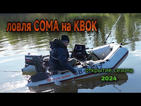 Видео: Рыбалка на сома, с квоком открываем сезон 2024