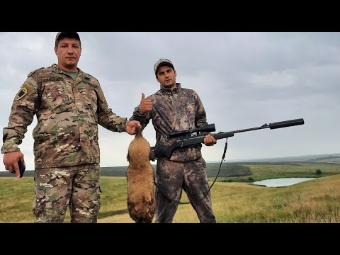 Видео: охота на сурка в охотхозяйстве Автоштамп