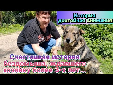 Видео: Он ждал её ежедневно, чтобы провести с ней время...Но она всегда уходила...Однажды, ВСЁ ИЗМЕНИЛОСЬ!