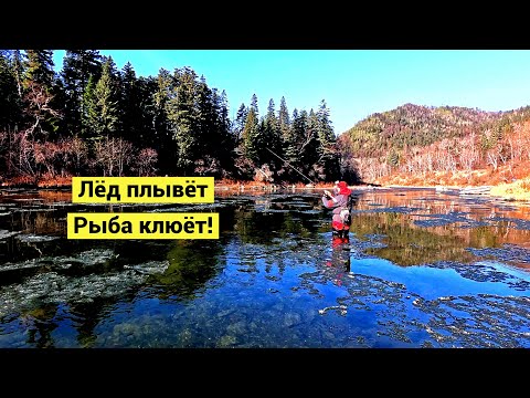 Видео: Юркая рыба среди льдин. Рыбалка с комфортом!