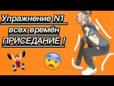 Видео: Упражнение номер 1 всех Времён и Народов-ПРИСЕДАНИЕ!