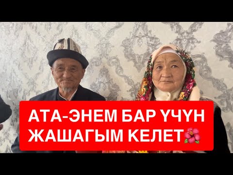 Видео: КЕЛЕТ, КУТТУКТАШАТ - ДЕП КҮТЧҮМҮН🌹