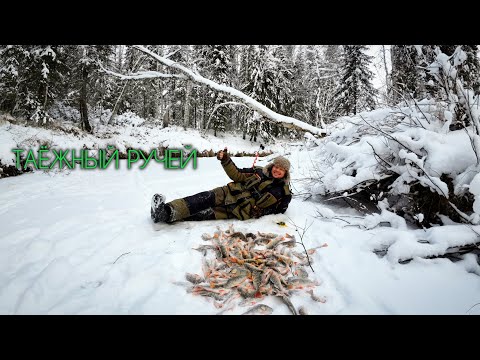 Видео: НАШЕЛ ЗАВЕТНУЮ ЛУНКУ #зимняярыбалка #первыйлёд #чебак #мохтик #ручей #рыбалка