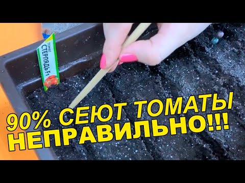 Видео: СЕЙТЕ ТОМАТЫ ТОЛЬКО ТАК!!!! САМЫЙ ПРОСТОЙ И ВЕРНЫЙ СПОСОБ