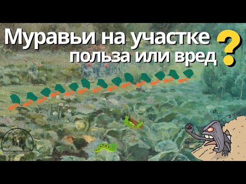Видео: Муравьи на участке– Польза или Вред?