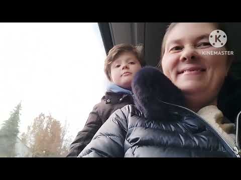 Видео: ШКОЛА  Martenfest шествие с фонарями//какие успехи Никиты// жизнь в Германии беженцы 