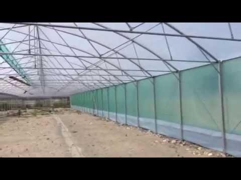Видео: Многорядная теплица 20м на 50м