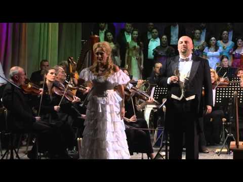 Видео: Тост за 2014-та с прекрасната „Наздравица" от „Травиата"