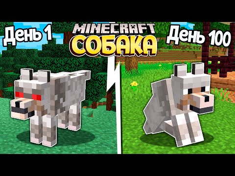 Видео: Я прожил 100 Дней за СОБАКУ в Майнкрафт ...