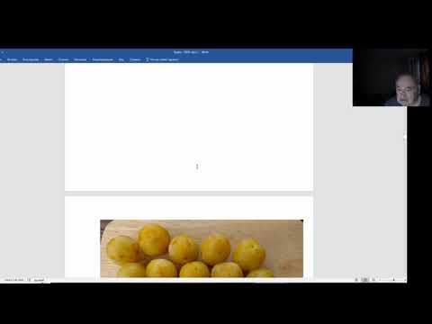 Видео: Сады и успех садоводства по Железову