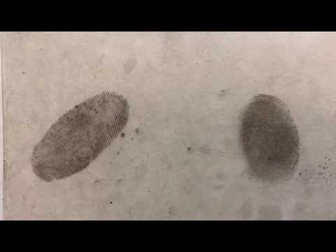 Видео: Изъятие следов рук выявленных реагентом МДР-Ч. Часть 3