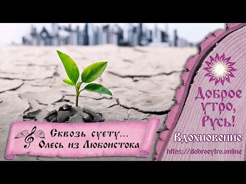 Видео: «Сквозь суету...» - Олесь из Любоистока