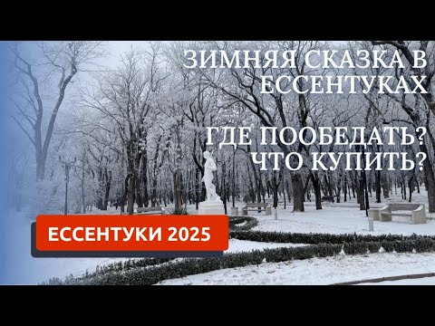 Видео: Ессентуки 2025. Зимняя сказка. Где пообедать и что купить