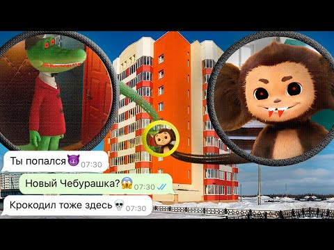 Видео: мы проследили за Чебурашкой до его дома (это была ошибка)