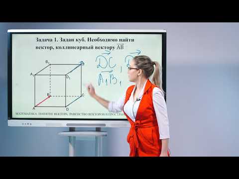 Видео: 10 класс. Математика. Понятие вектора. Равенство векторов в пространстве.