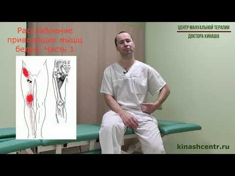 Видео: Расслабление приводящих мышц. Часть 1. Боль в бедре, промежности