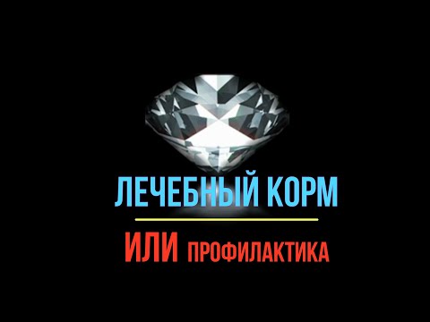Видео: Aquarists of Russia  Лечебный корм или профилактика.