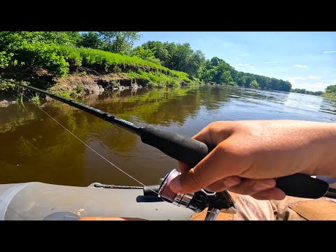 Видео: ТУТ ЗЛЫЕ ПОКЛЁВКИ рыбы, РЕКА И СКАЗОЧНАЯ ПРИРОДА!. Судак, щука. Рыбалка в 2024