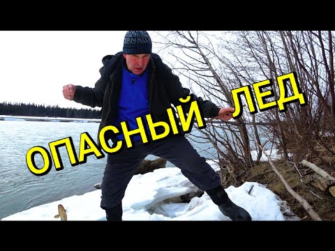 Видео: Весна на Аляске.Рыбалка.Налим. Лосось. Форель.