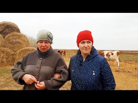 Видео: ОНИ ДАВНО ЗА НАМИ СЛЕДЯТ. ОПЯТЬ ПРИЕХАЛИ С ПРОВЕРКОЙ.