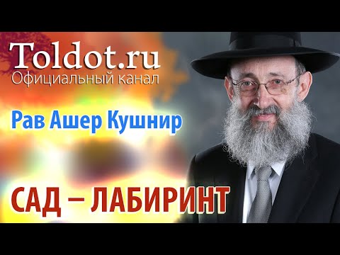 Видео: Рав Ашер Кушнир. Cад – лабиринт. Месилат Йешарим 28