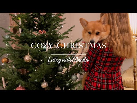 Видео: 🎁 Готовимся к Рождеству 🎄 | Living alone in Sweden vlog