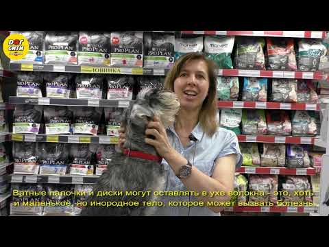 Видео: Как ухаживать за собачьими ушами