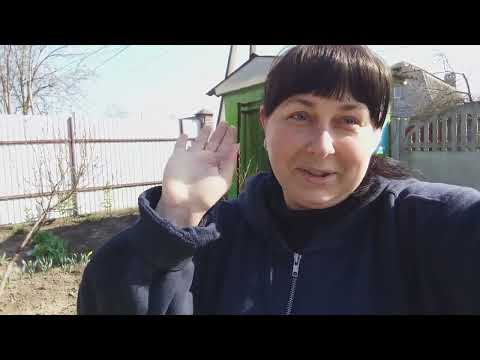 Видео: Слезы в сторону ! Лопату в руки и вперед работать