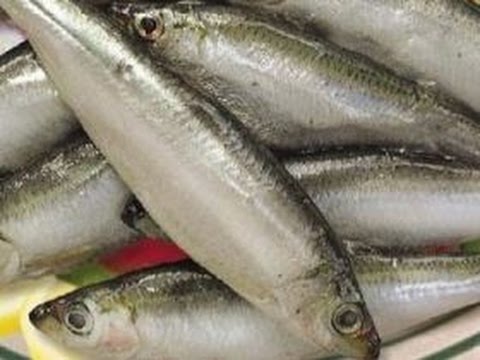 Видео: снасточка для ловли на ТЮЛЬКУ