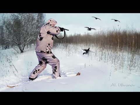 Видео: ПРОВЕРЯЮ КАПКАНЫ НА СОБОЛЯ. ИЩУ КОСАЧЕЙ В ЛУНКАХ. ДЕЛАЮ НОВЫЙ СОЛОНЕЦ. ПРОСТОЙ СПОСОБ.