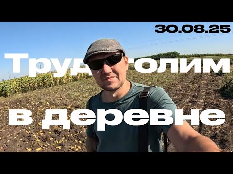 Видео: ОТец Трудоголит в деревне 30.08.25 г