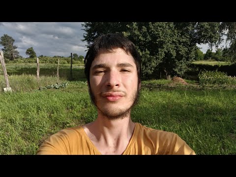 Видео: Про белые карлики - Диванные монологи - №20