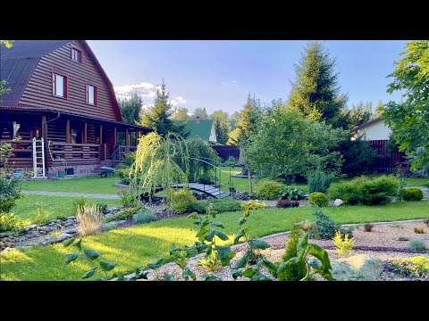 Видео: КУСТАРНИКИ И ДЕРЕВЬЯ В САДУ. ДЕРЕНЫ/ ПУЗЫРЕПЛОДНИКИ / КАЛИНА / ОРЕХ ПУРПУРНЫЙ / КЛЕН ДРУММОНДИ.