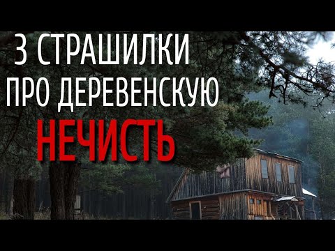 Видео: СБОРНИК СТРАШИЛОК Про ДЕРЕВНЮ. Страшные истории про деревню. Истории на ночь. Сибирь. Деревня.