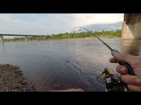 Видео: река Волхов, рыбалка перед грозой