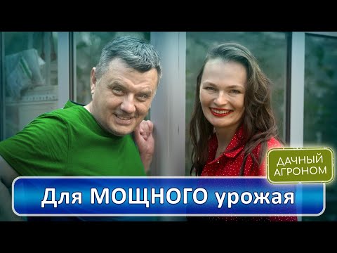 Видео: САМИ НЕ ОЖИДАЛИ! Урожай точно будет