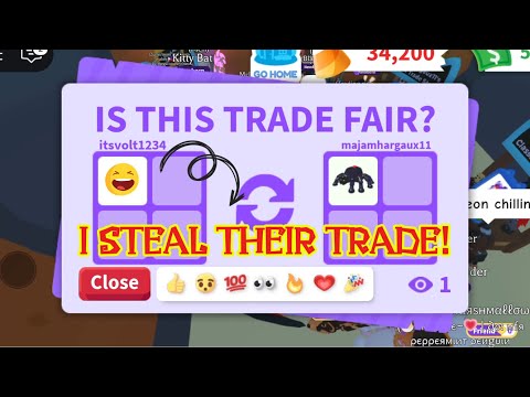 Видео: 😵 ЭТОТ ПИТОМЕЦ КРУПНЕЙШИЙ, ТОЛЬКО ДЛЯ ПАУКА ЧЁРНАЯ ВДОВА 😍🤯 ОБМЕНИВАЮСЬ НОВЫМИ ПИТОМЦАМИ НА ХЭЛЛО...